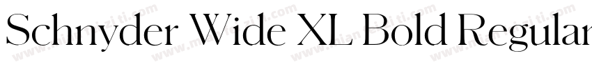 Schnyder Wide XL Bold Regular字体转换